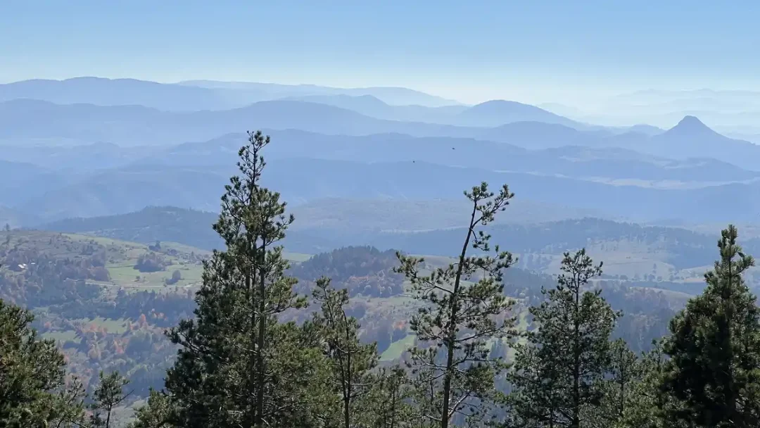 Tornik, Zlatibor