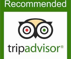 TripAdvisor